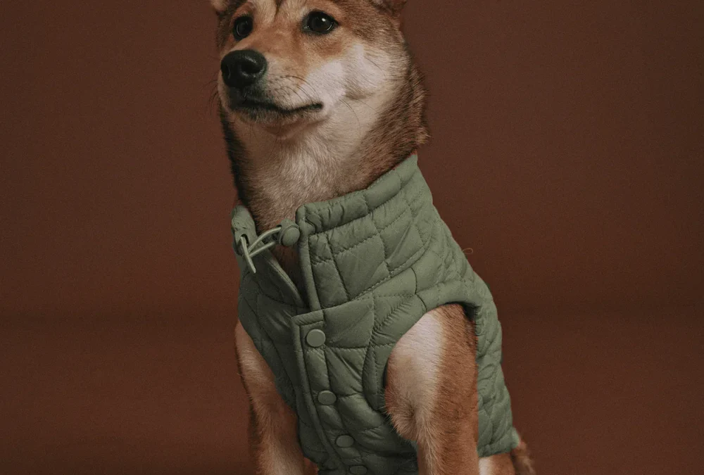 Clothes for Dogs...A Winter Necessity?