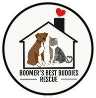 Boomer's Best Buddies Rescue