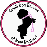 Small Dog Rescue of New England